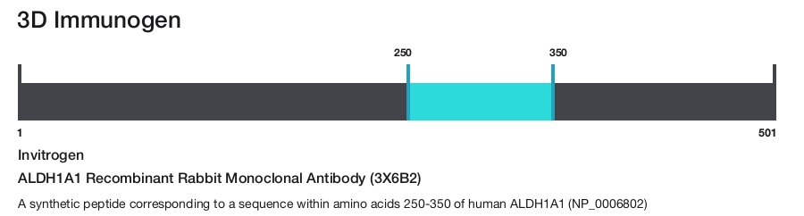 ALDH1A1 Recombinant Rabbit Monoclonal Antibody (3X6B2)