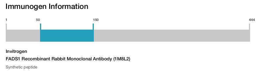 FADS1 Recombinant Rabbit Monoclonal Antibody (1M8L2)
