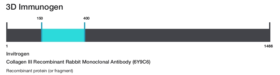 Collagen III Recombinant Rabbit Monoclonal Antibody (6Y9C6)