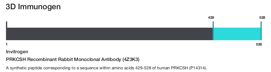 PRKCSH Recombinant Rabbit Monoclonal Antibody (4Z3K3)