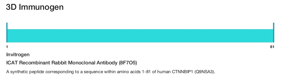 ICAT Recombinant Rabbit Monoclonal Antibody (8F7O5)