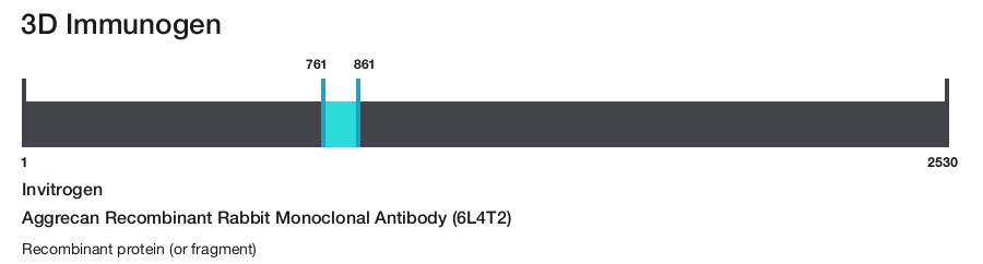 Aggrecan Recombinant Rabbit Monoclonal Antibody (6L4T2)