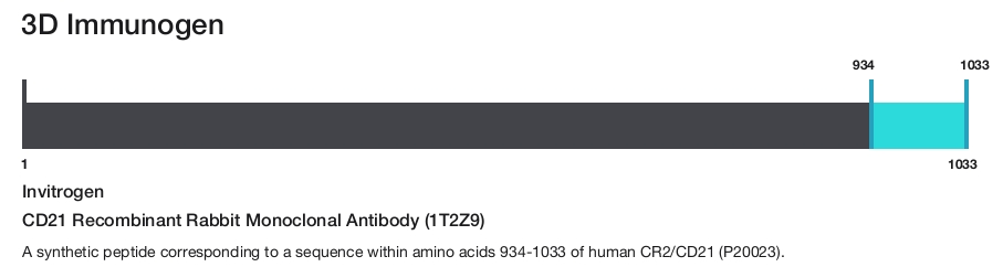 CD21 Recombinant Rabbit Monoclonal Antibody (1T2Z9)