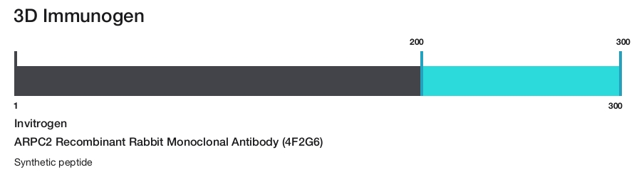 ARPC2 Recombinant Rabbit Monoclonal Antibody (4F2G6)