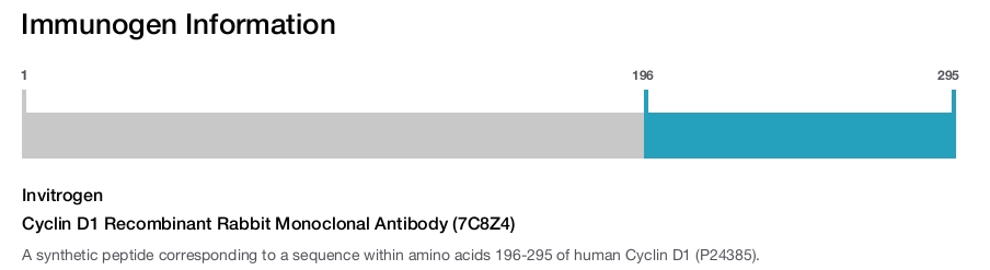 Cyclin D1 Recombinant Rabbit Monoclonal Antibody (7C8Z4)