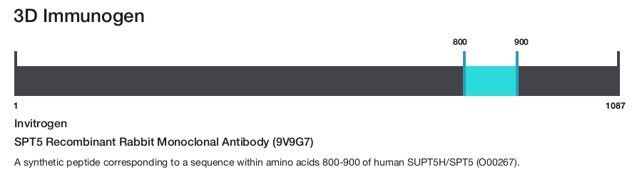 SPT5 Recombinant Rabbit Monoclonal Antibody (9V9G7)