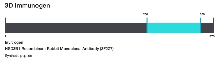 HSD3B1 Recombinant Rabbit Monoclonal Antibody (3F2Z7)