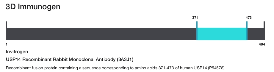 USP14 Recombinant Rabbit Monoclonal Antibody (3A3J1)