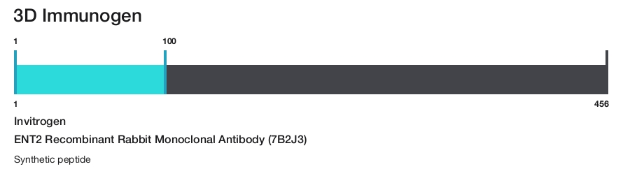 ENT2 Recombinant Rabbit Monoclonal Antibody (7B2J3)