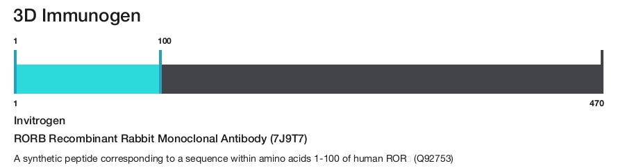 RORB Recombinant Rabbit Monoclonal Antibody (7J9T7)