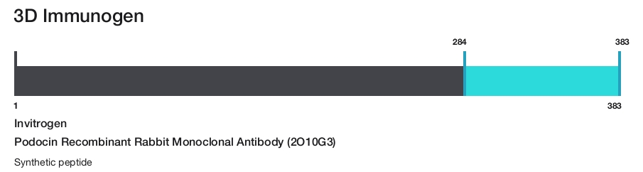Podocin Recombinant Rabbit Monoclonal Antibody (2O10G3)