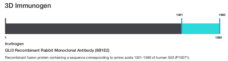 GLI3 Recombinant Rabbit Monoclonal Antibody (8B1E2)