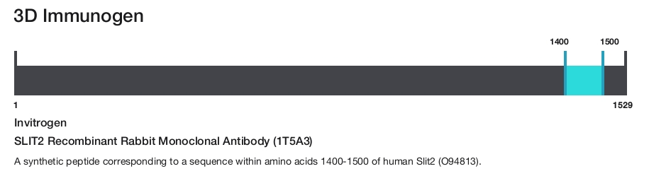 SLIT2 Recombinant Rabbit Monoclonal Antibody (1T5A3)