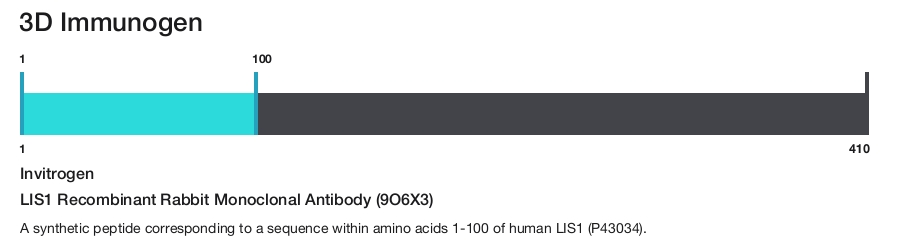 LIS1 Recombinant Rabbit Monoclonal Antibody (9O6X3)