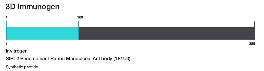 SIRT2 Recombinant Rabbit Monoclonal Antibody (1E1U3)