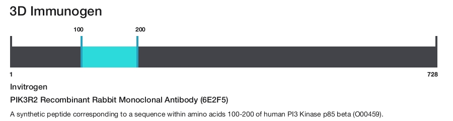 PIK3R2 Recombinant Rabbit Monoclonal Antibody (6E2F5)