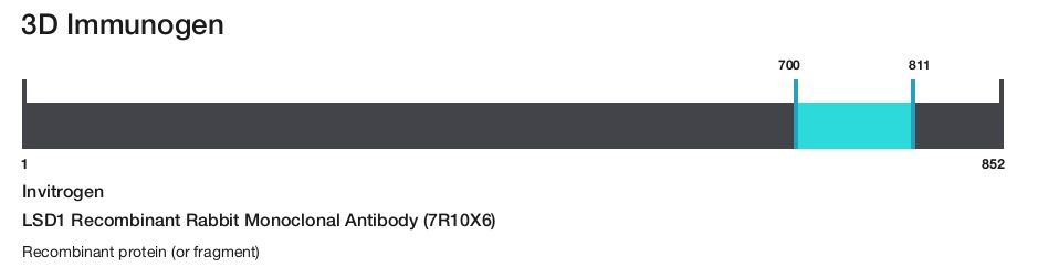 LSD1 Recombinant Rabbit Monoclonal Antibody (7R10X6)