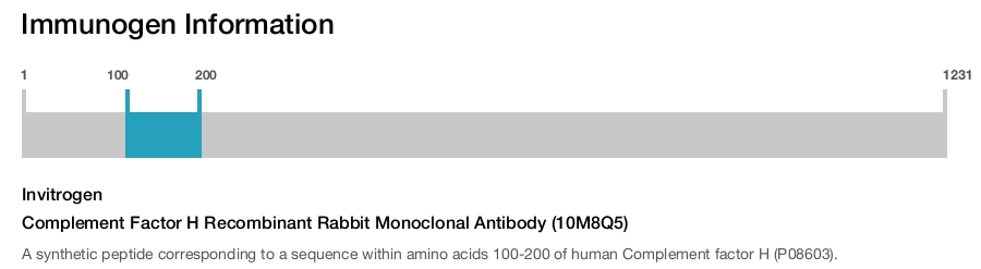 Complement Factor H Recombinant Rabbit Monoclonal Antibody (10M8Q5)