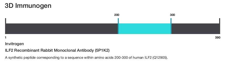 ILF2 Recombinant Rabbit Monoclonal Antibody (5P1K2)