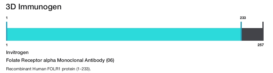 Folate Receptor alpha Monoclonal Antibody (06)