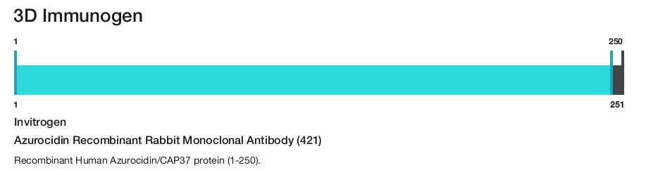 Azurocidin Recombinant Rabbit Monoclonal Antibody (421)