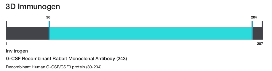 G-CSF Recombinant Rabbit Monoclonal Antibody (243)