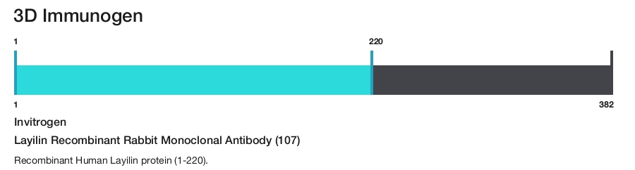 Layilin Recombinant Rabbit Monoclonal Antibody (107)
