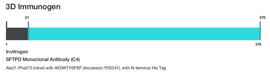 SFTPD Monoclonal Antibody (C4)