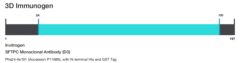 SFTPC Monoclonal Antibody (D3)