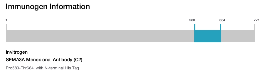 SEMA3A Monoclonal Antibody (C2)