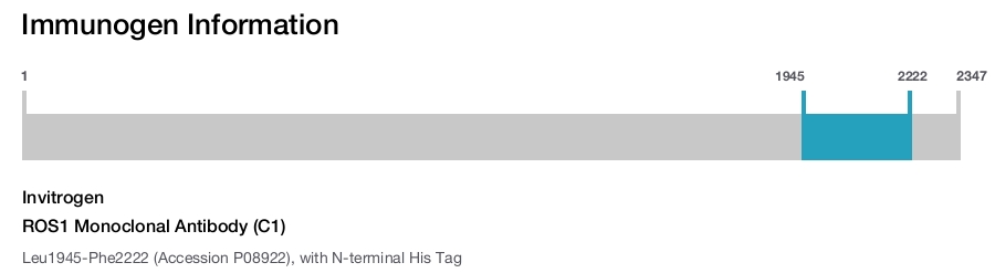 ROS1 Monoclonal Antibody (C1)