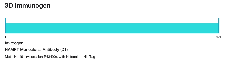 NAMPT Monoclonal Antibody (D1)