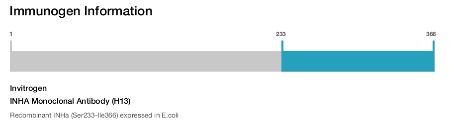 INHA Monoclonal Antibody (H13)