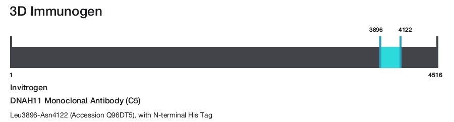 DNAH11 Monoclonal Antibody (C5)