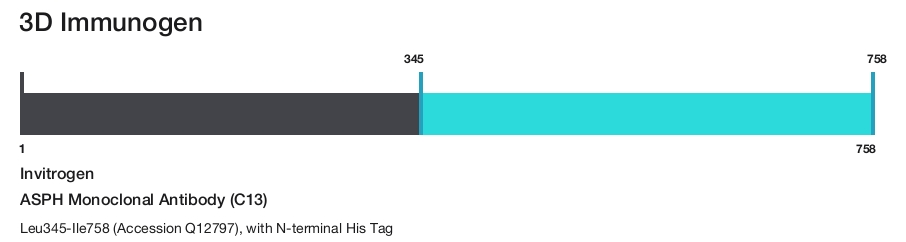 ASPH Monoclonal Antibody (C13)