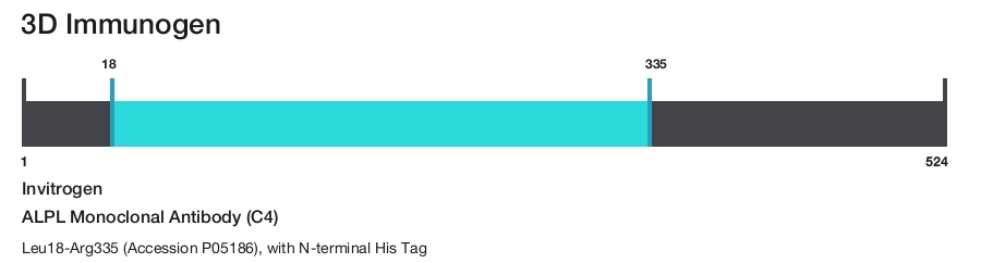 ALPL Monoclonal Antibody (C4)