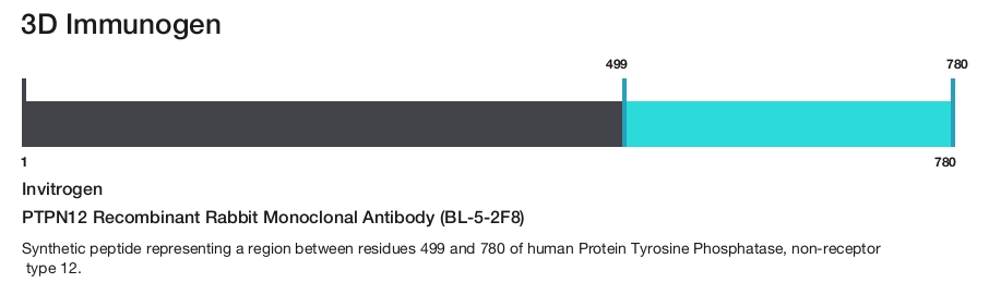 PTPN12 Recombinant Rabbit Monoclonal Antibody (BL-5-2F8)
