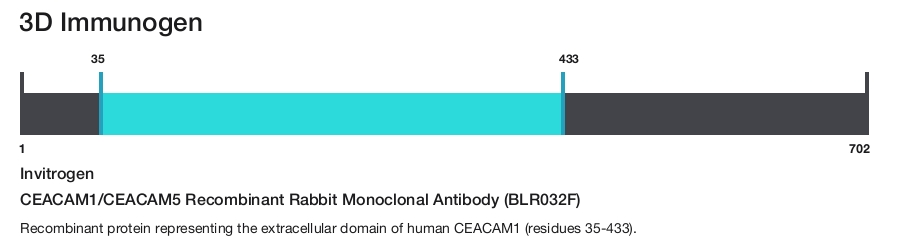 CEACAM1/CEACAM5 Recombinant Rabbit Monoclonal Antibody (BLR032F)