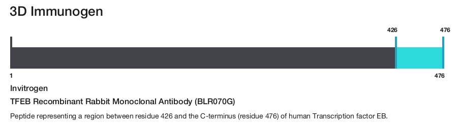 TFEB Recombinant Rabbit Monoclonal Antibody (BLR070G)