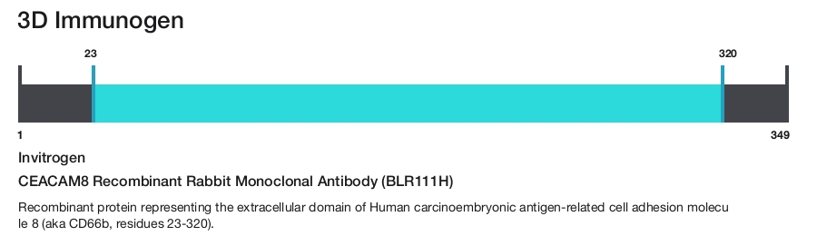 CEACAM8 Recombinant Rabbit Monoclonal Antibody (BLR111H)