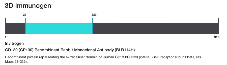 CD130 (GP130) Recombinant Rabbit Monoclonal Antibody (BLR114H)