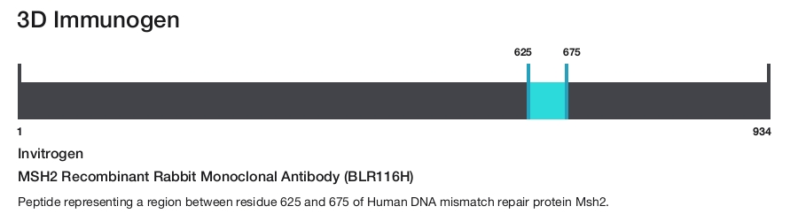 MSH2 Recombinant Rabbit Monoclonal Antibody (BLR116H)