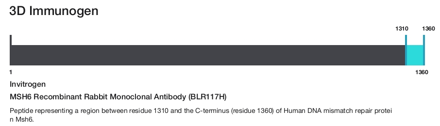 MSH6 Recombinant Rabbit Monoclonal Antibody (BLR117H)