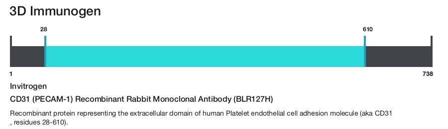 CD31 (PECAM-1) Recombinant Rabbit Monoclonal Antibody (BLR127H)
