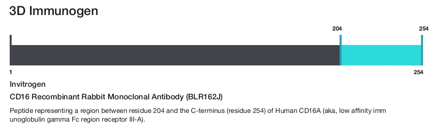 CD16 Recombinant Rabbit Monoclonal Antibody (BLR162J)