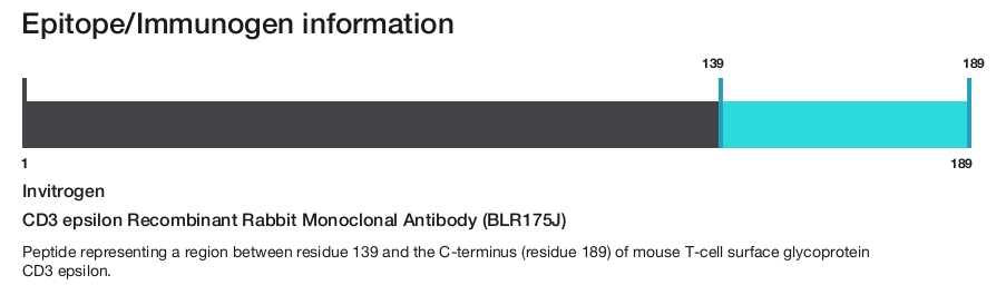 CD3 epsilon Recombinant Rabbit Monoclonal Antibody (BLR175J)