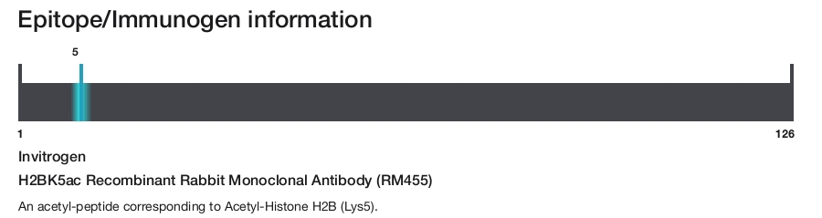 H2BK5ac Recombinant Rabbit Monoclonal Antibody (RM455)