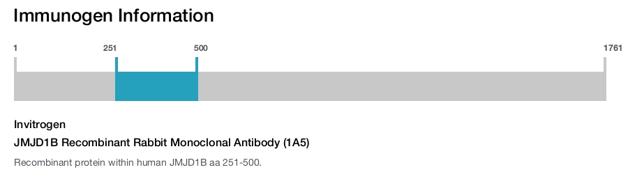 JMJD1B Recombinant Rabbit Monoclonal Antibody (1A5)