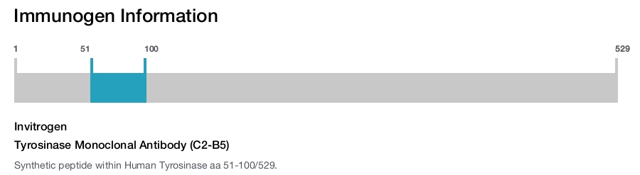 Tyrosinase Monoclonal Antibody (C2-B5)