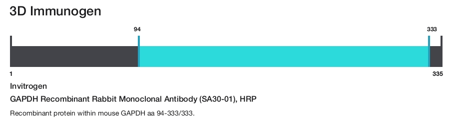 GAPDH Recombinant Rabbit Monoclonal Antibody (SA30-01), HRP